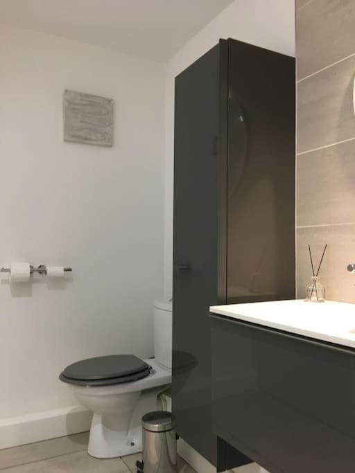 T2 St Martin Du Touch Airbus Quiet And Spacious Appartement Toulouse